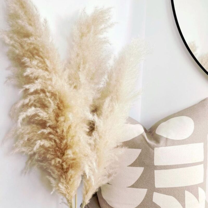 Large Beige Pampas Grass 1