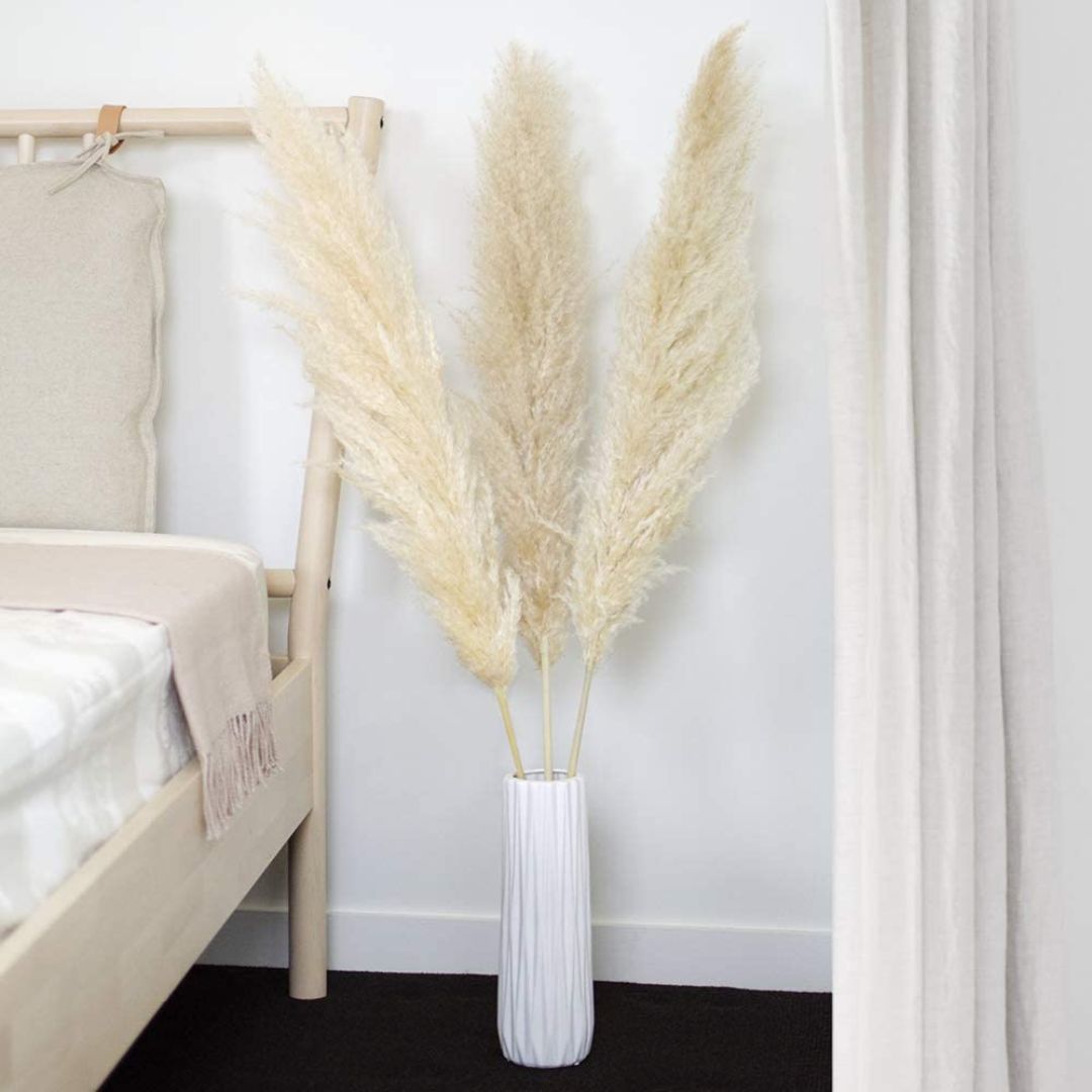 Large Beige Pampas Grass 2 Large Beige Pampas Grass 2