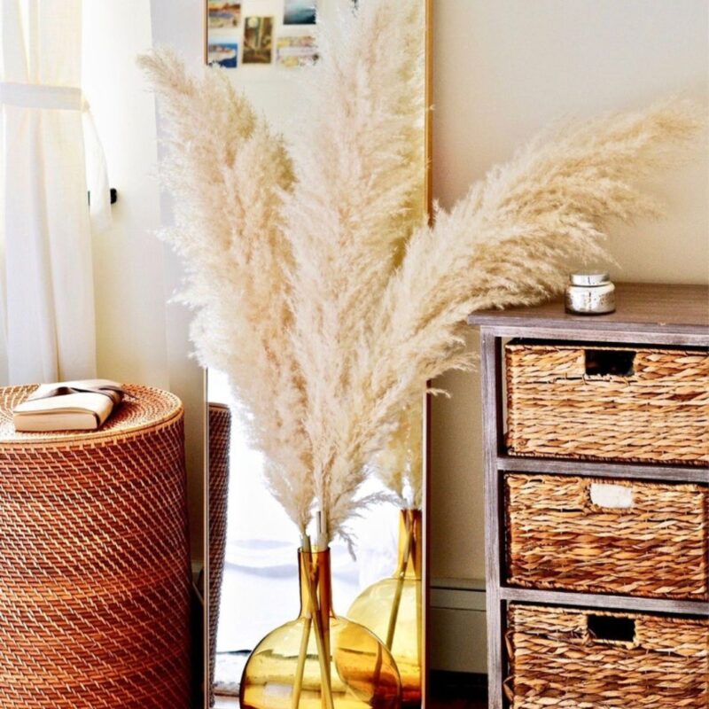 Large Beige Pampas Grass