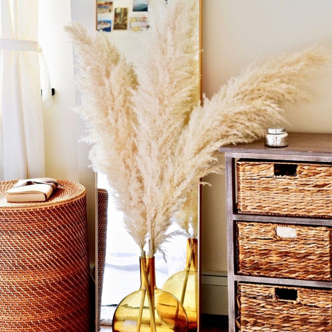Large Beige Pampas Grass Large Beige Pampas Grass
