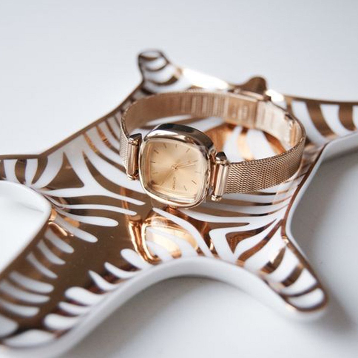 Little Zebra Safari Tray10 homestuffbd Little Zebra Safari Tray10 homestuffbd