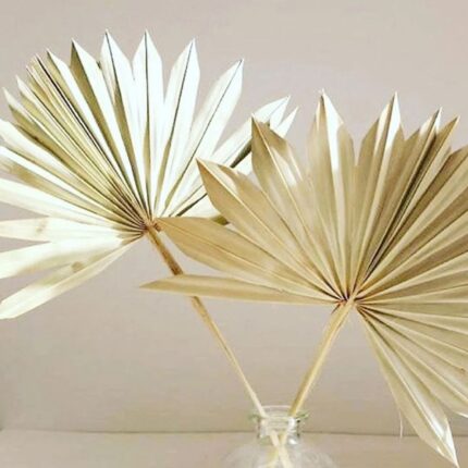 Natural Dried Fan Palms 1