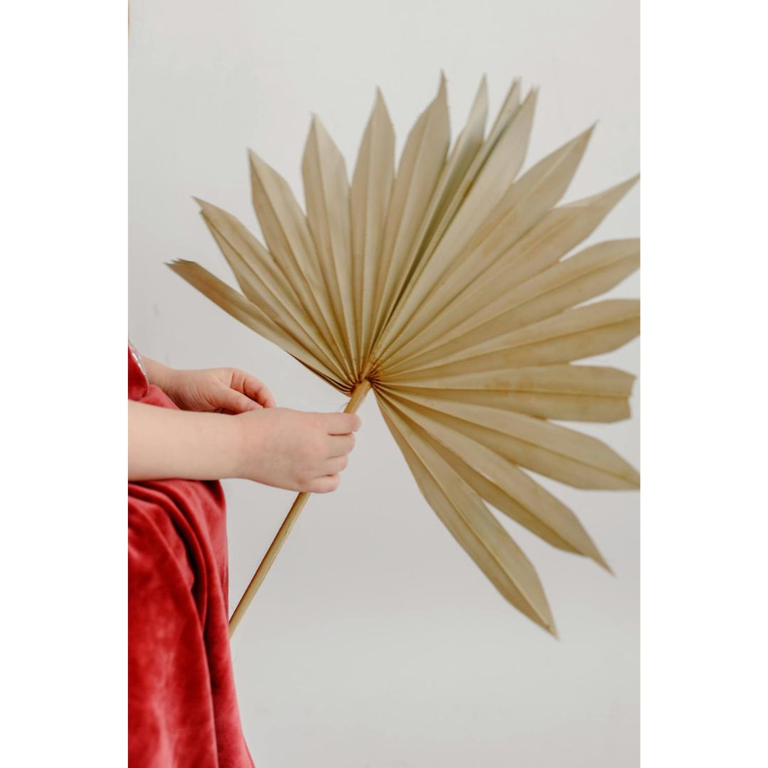 Natural Dried Fan Palms 3 Natural Dried Fan Palms 3