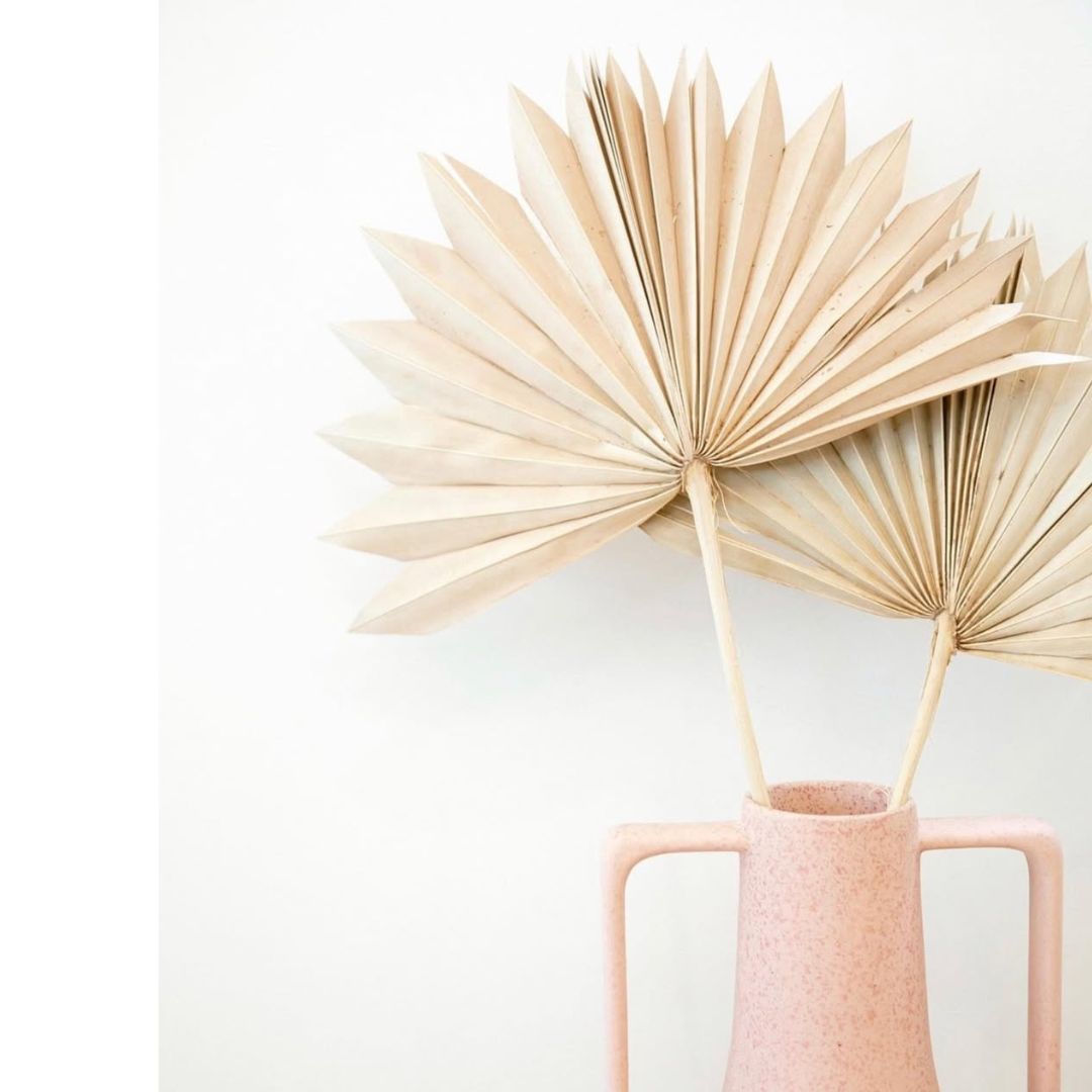 Natural Dried Fan Palms homestuffbd Natural Dried Fan Palms homestuffbd