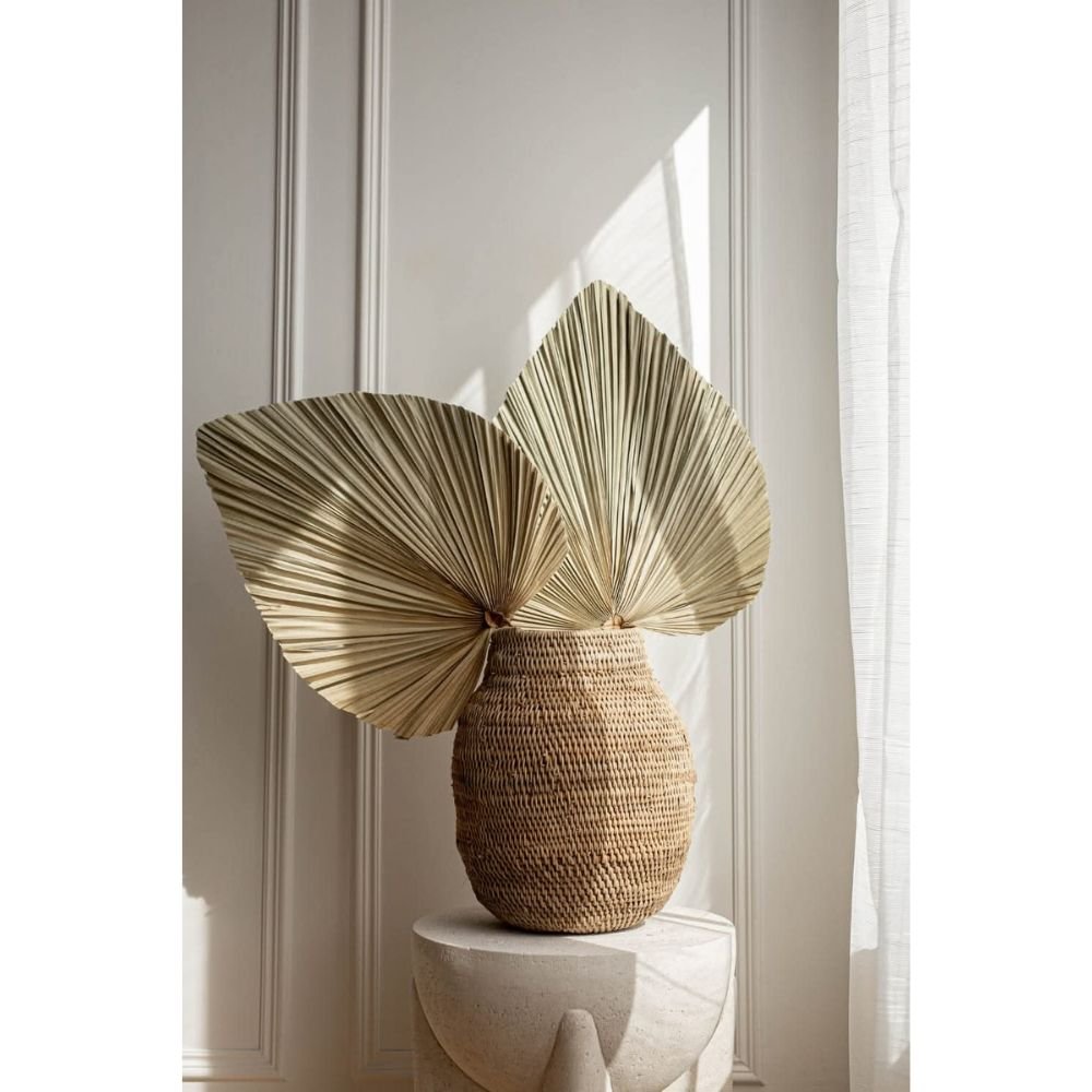 Homestuffbd Dried Palm Leaves 3 Homestuffbd Dried Palm Leaves 3