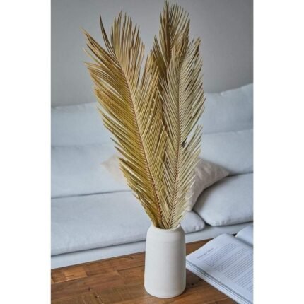 Homestuffbd Dried Sago Palm Leaves 1