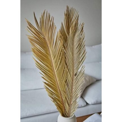 Homestuffbd Dried Sago Palm Leaves 3