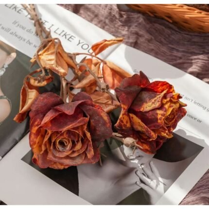 Homestuffbd Preserved Promise Dried Artificial Roses 7