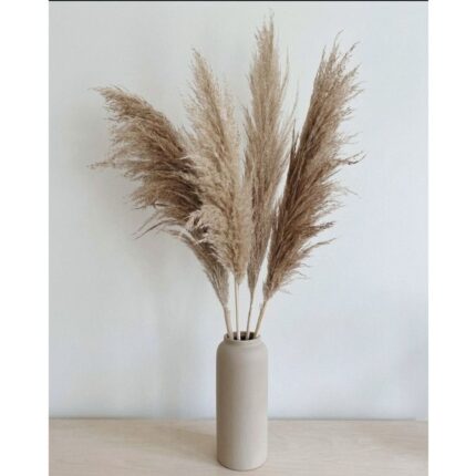 Homestuffbd Large Brown Pampas Grass 3